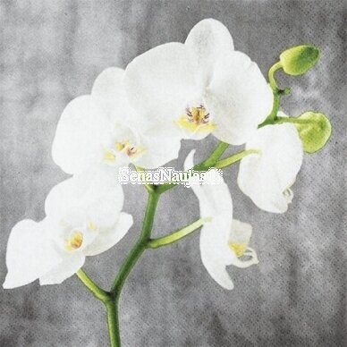 Paper napkin for decoupage WHITE ORCHID, 1/4 folded