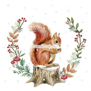 Paper napkin for decoupage SQUIRREL, 1/4 folded