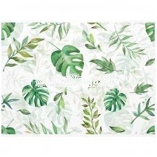 Rice paper for decoupage MONSTERA