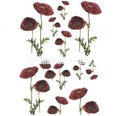 Rice paper for decoupage POPPIES