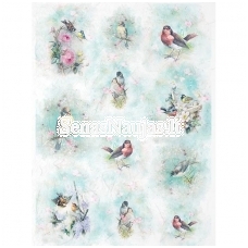 Rice paper for decoupage, scrapbooking BIRDS