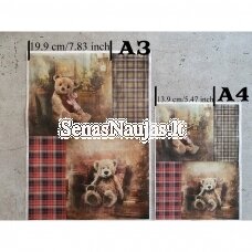 Rice paper for decoupage, scrapbooking TEDDY BEAR