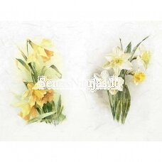Rice paper DAFFODILS, 1 piece