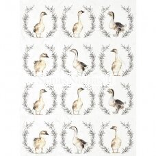 Rice paper for decoupage GOOSE, 1 piece