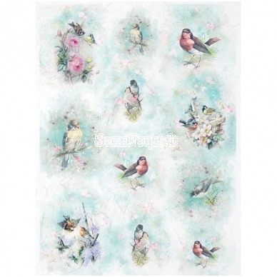 Rice paper for decoupage, scrapbooking BIRDS
