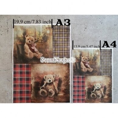 Rice paper for decoupage, scrapbooking TEDDY BEAR 1