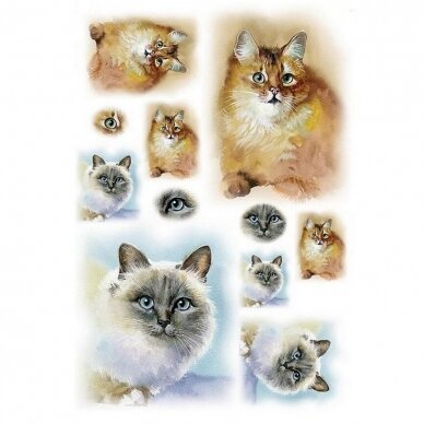 Printed rice paper CATS