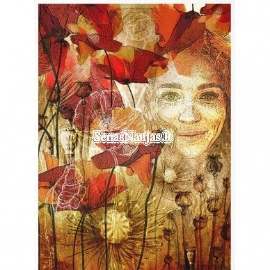 Rice paper for decoupage, scrapbooking FEMALE FACE