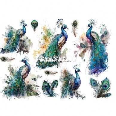 Rice paper for decoupage, scrapbooking PEACOCK