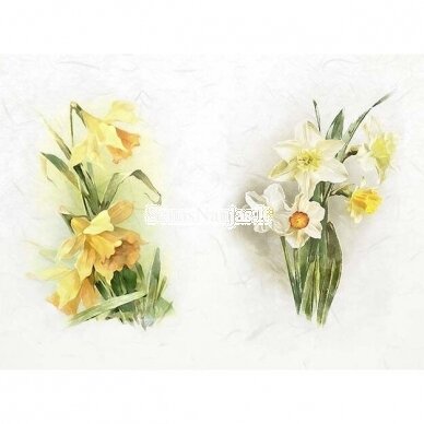Rice paper DAFFODILS, 1 piece