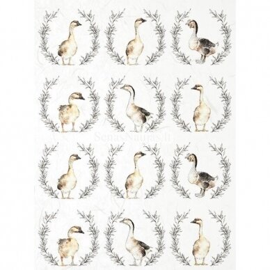 Rice paper for decoupage GOOSE, 1 piece
