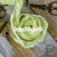 Old-style satin ribbon (light lime color)